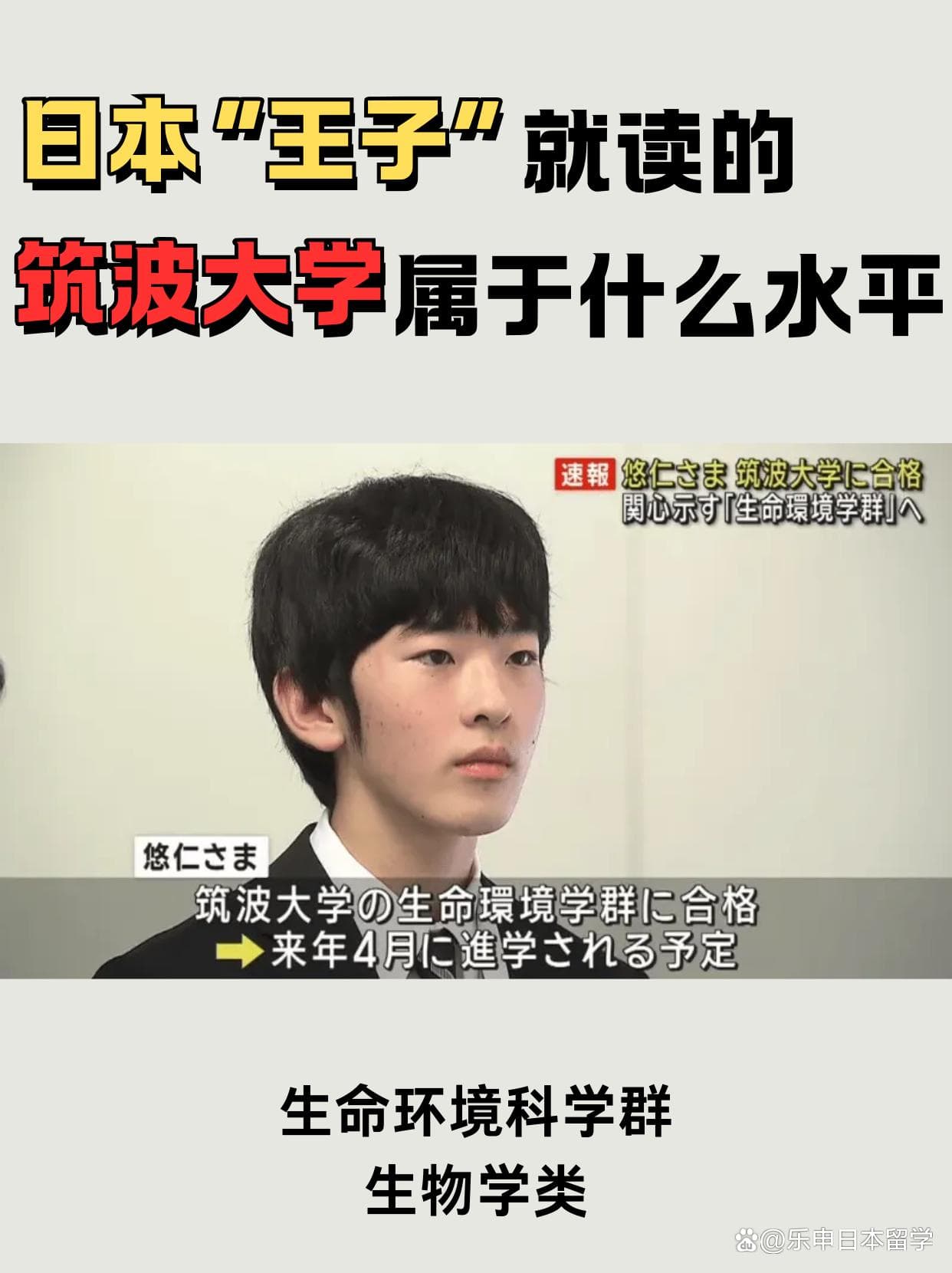 日本“王子”就读的筑波大学属于什么水平