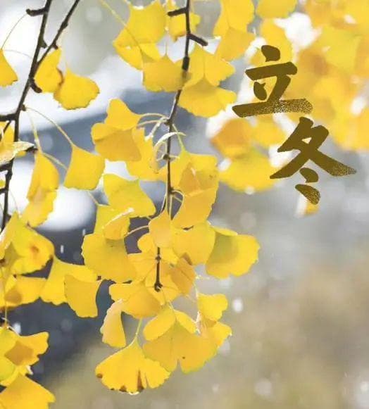 最适合立冬后吃的三道汤，做法简单，营养美味还滋补