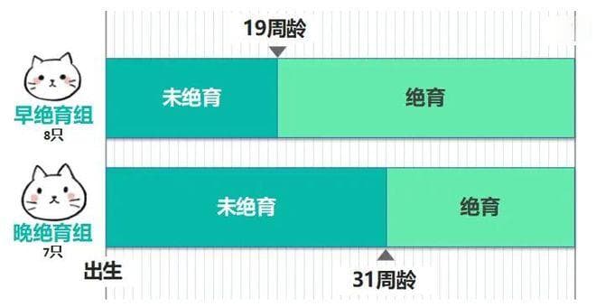 为什么猫咪绝育后会发胖？