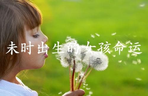 未时出生的女孩命运：八字命理学视角下的性格与运势解读
