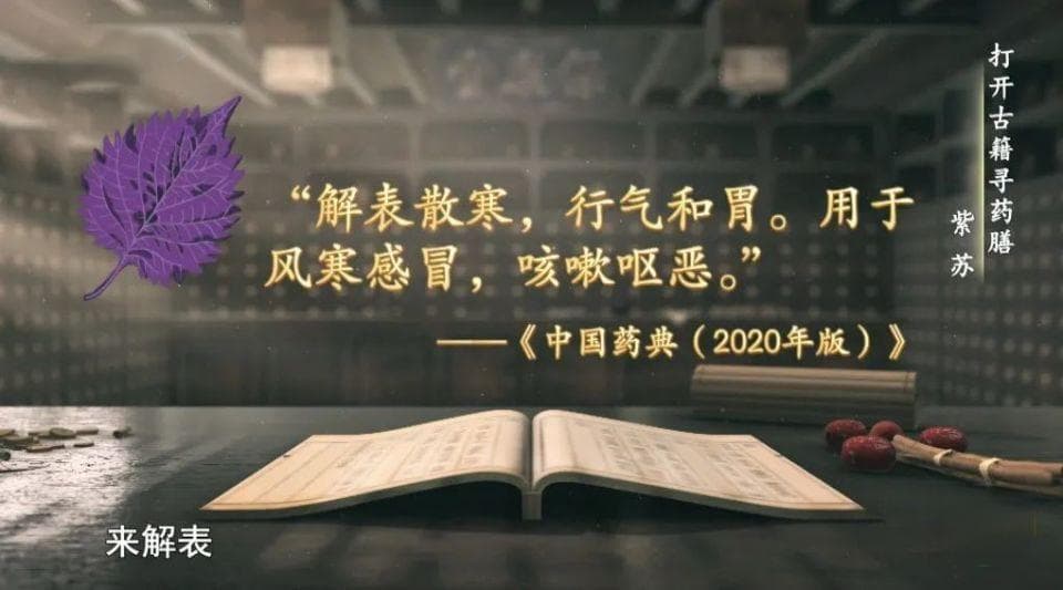 春天易生病？这3种“药”，就在你家餐桌上！