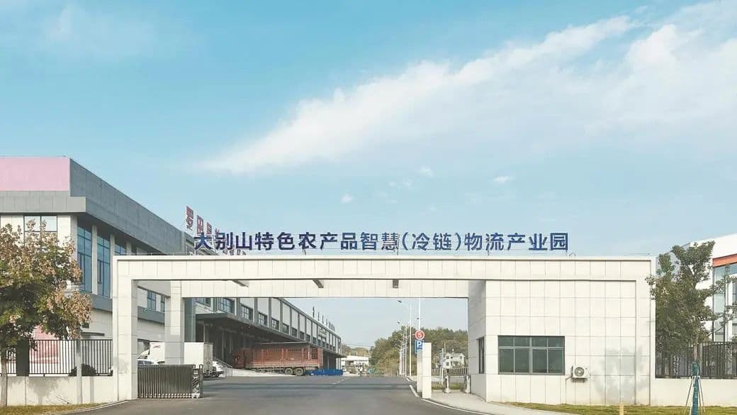 强县工程看黄冈 | 农业：供应链赋能转型升级