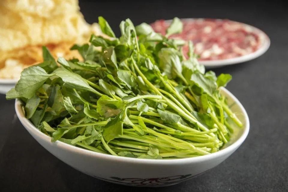 别让西洋菜只在南方 “火”！北方人也该知道的营养宝藏与舌尖美味