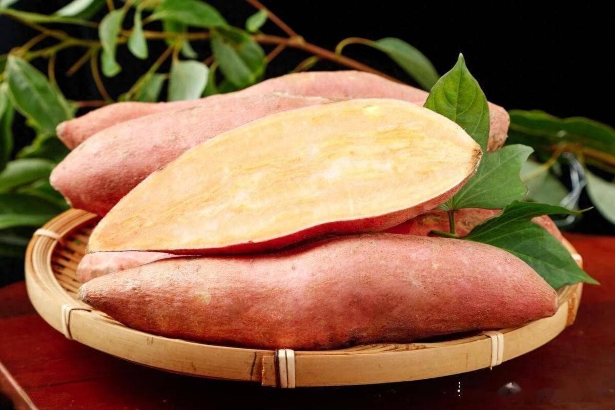 糖尿病人吃红薯，选红心的还是白心的？吃玉米选白的还是黄的？