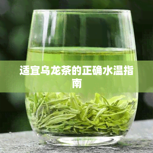 适宜乌龙茶的正确水温指南