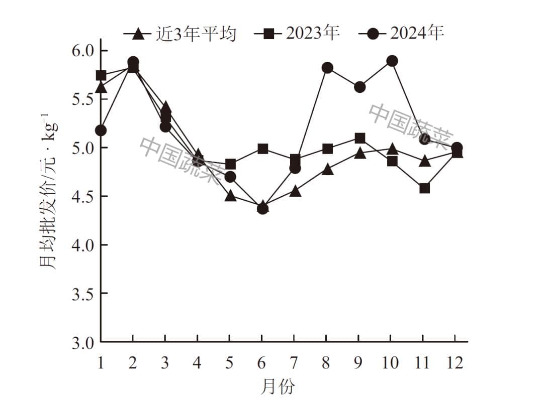 重磅！我国蔬菜市场2024年形势分析及2025年预测