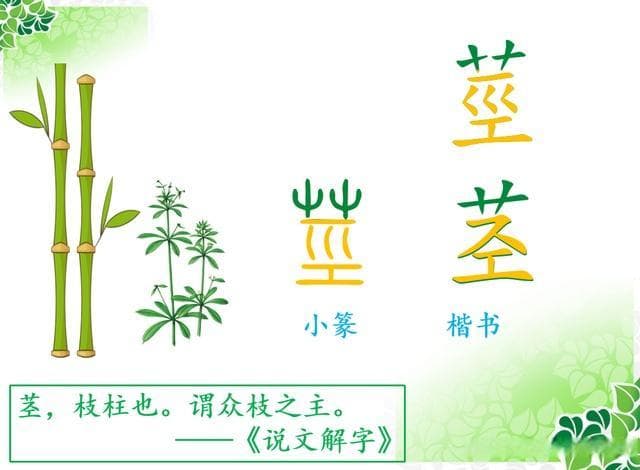 艹部汉字2——芽、苗、茎、葉（叶）