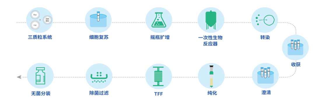 腺相关病毒：基因治疗商业化面临的挑战
