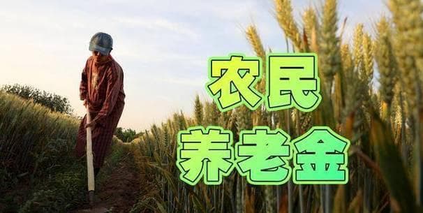 农民养老金困境：为何农村老人养老如此艰难？