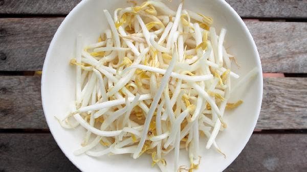 豆芽变质的识别与储存指南
