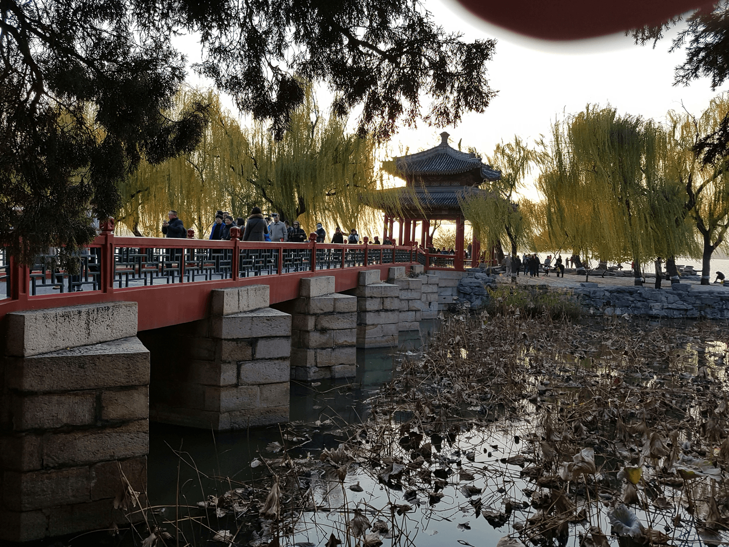 秋天的清明上河园：开封最美摄影地