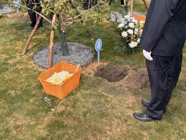 江苏殡葬新变革：传统殡葬观念革新 生态节地葬渐成主流