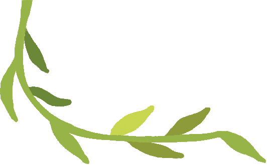为什么有人讨厌香菜？基因决定还是后天影响？