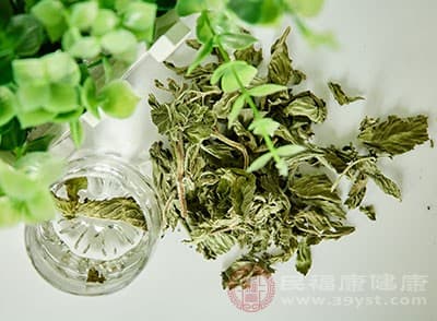 薄荷的功效与作用 薄荷叶可这样吃
