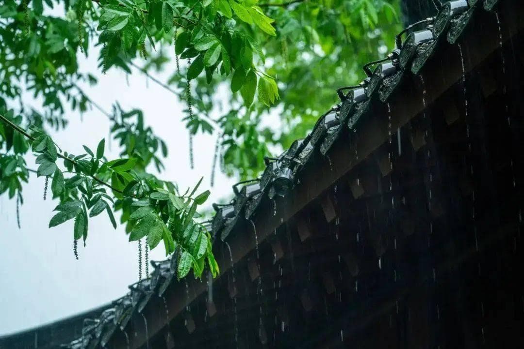 摄影技巧：雨水与自然光人像拍摄全攻略
