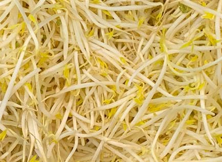 保鲜锦囊 | 买回来的豆芽，该怎么存放保鲜？
