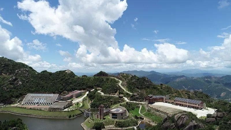 凤凰单丛茶发展历程：从南宋起源到21世纪全盛
