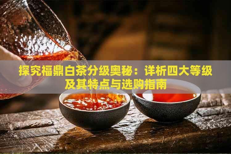探究福鼎白茶分级奥秘：详析四大等级及其特点与选购指南