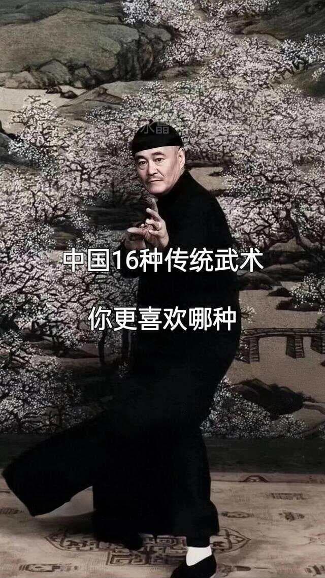 中国16种传统武术 你最喜欢哪一种