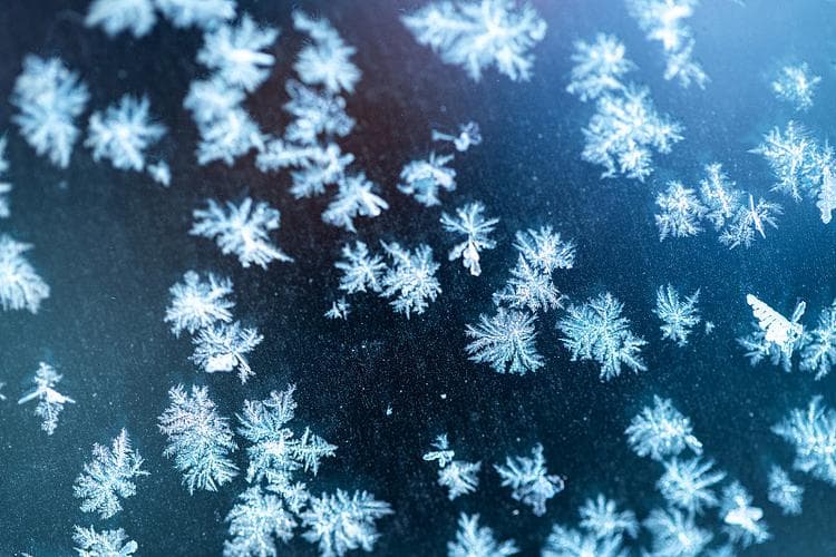 为什么人们总是对冬天的雪花情有独钟？