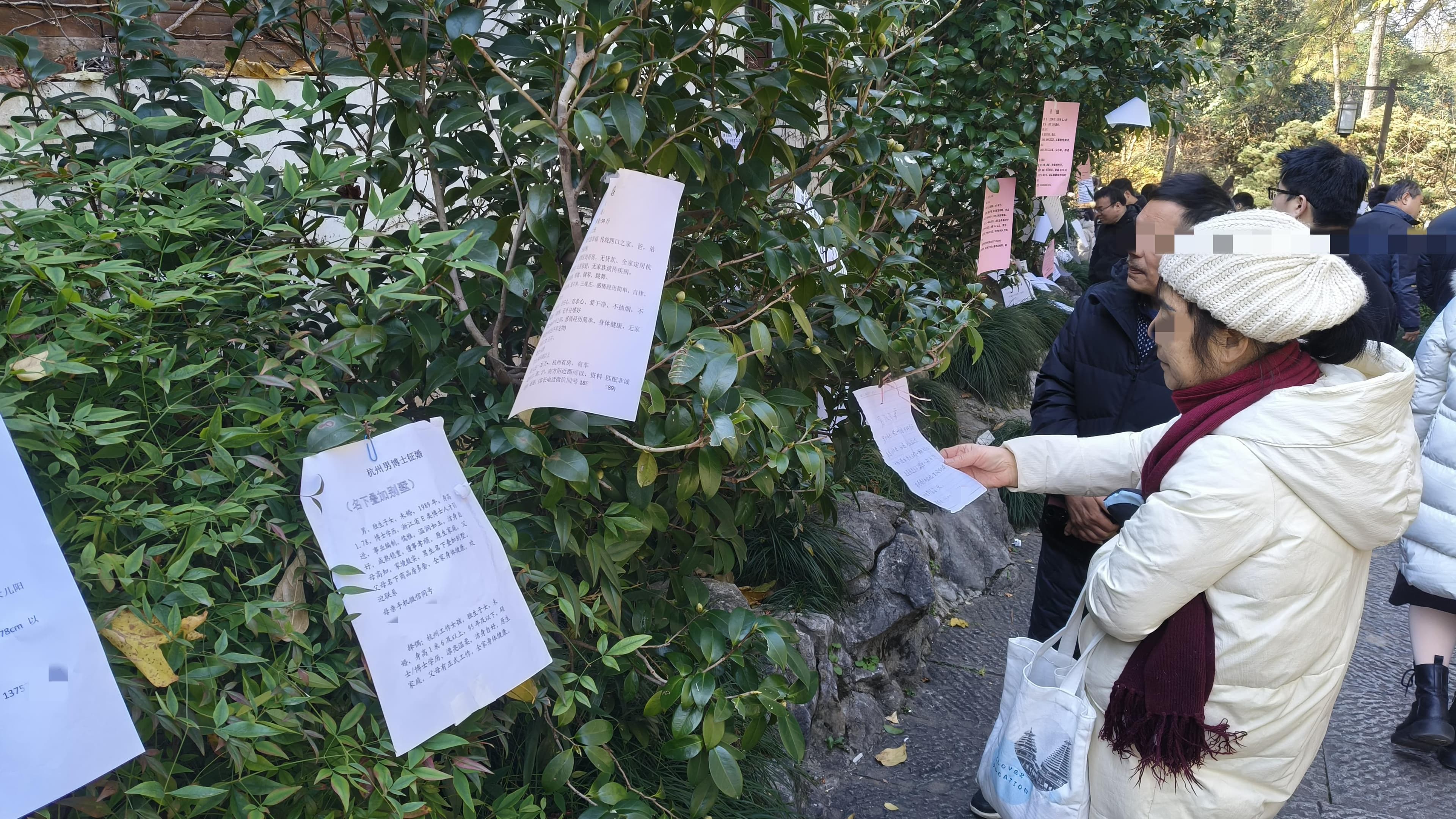 杭州万松书院“相亲角”现象引热议：大龄青年婚恋市场背后的焦虑与希望