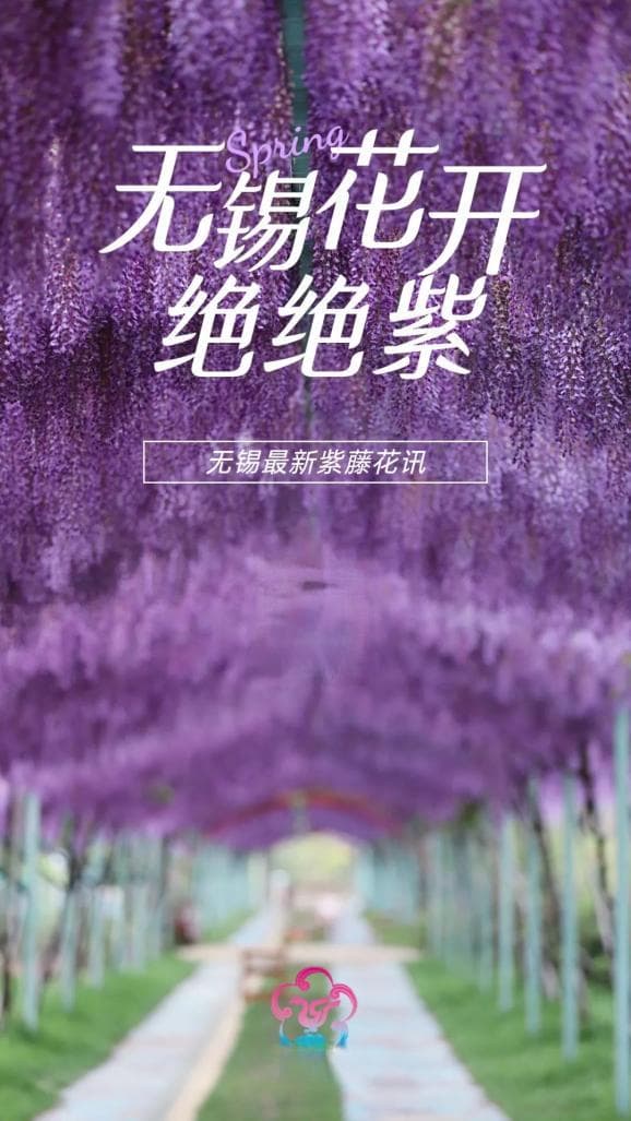 我又要劝你来无锡了，因为……
