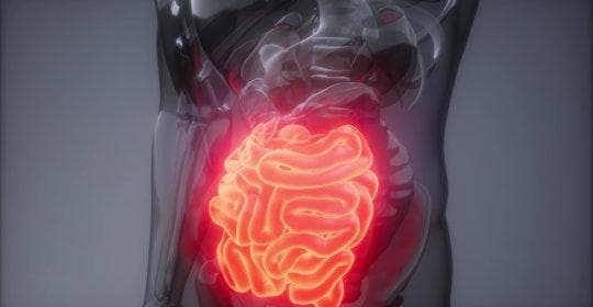 酵母抽提物：营养价值、功效、禁忌与食用方式