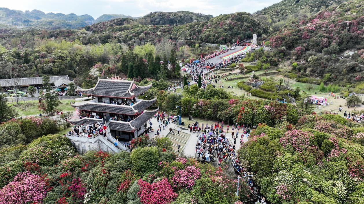 祭花神！盛花期，百里杜鹃举行非遗传承活动