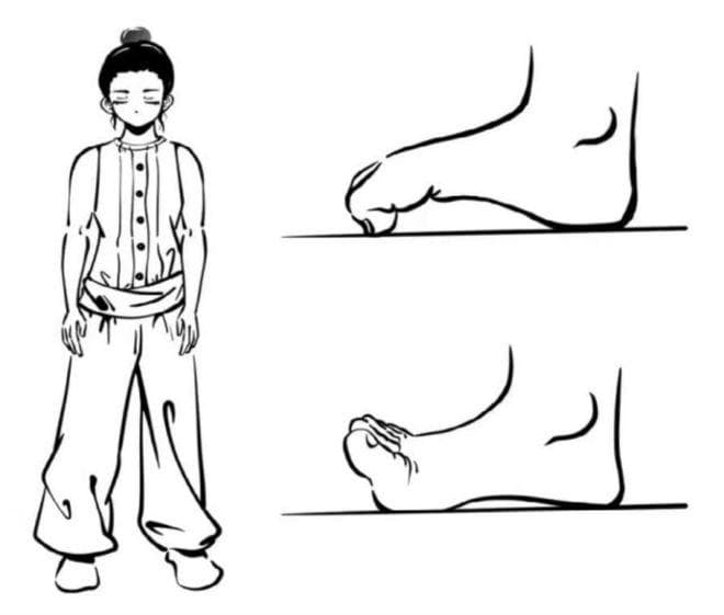 易筋经技法的养生机理