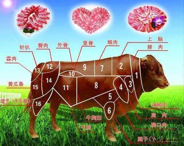 减脂餐必备：在家轻松做低脂卤牛肉！