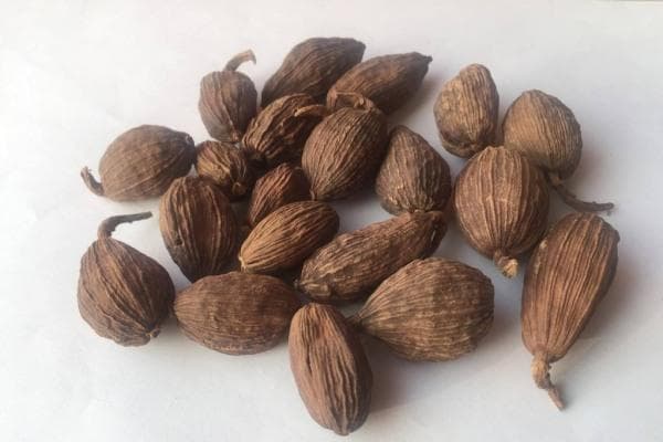 草果和草豆蔻的区别是什么