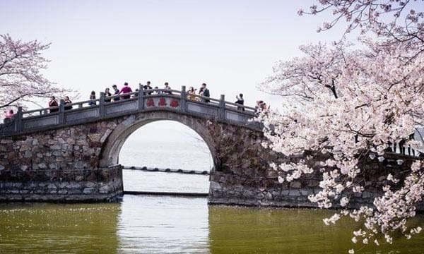 无锡最佳旅游时间 无锡游玩指南