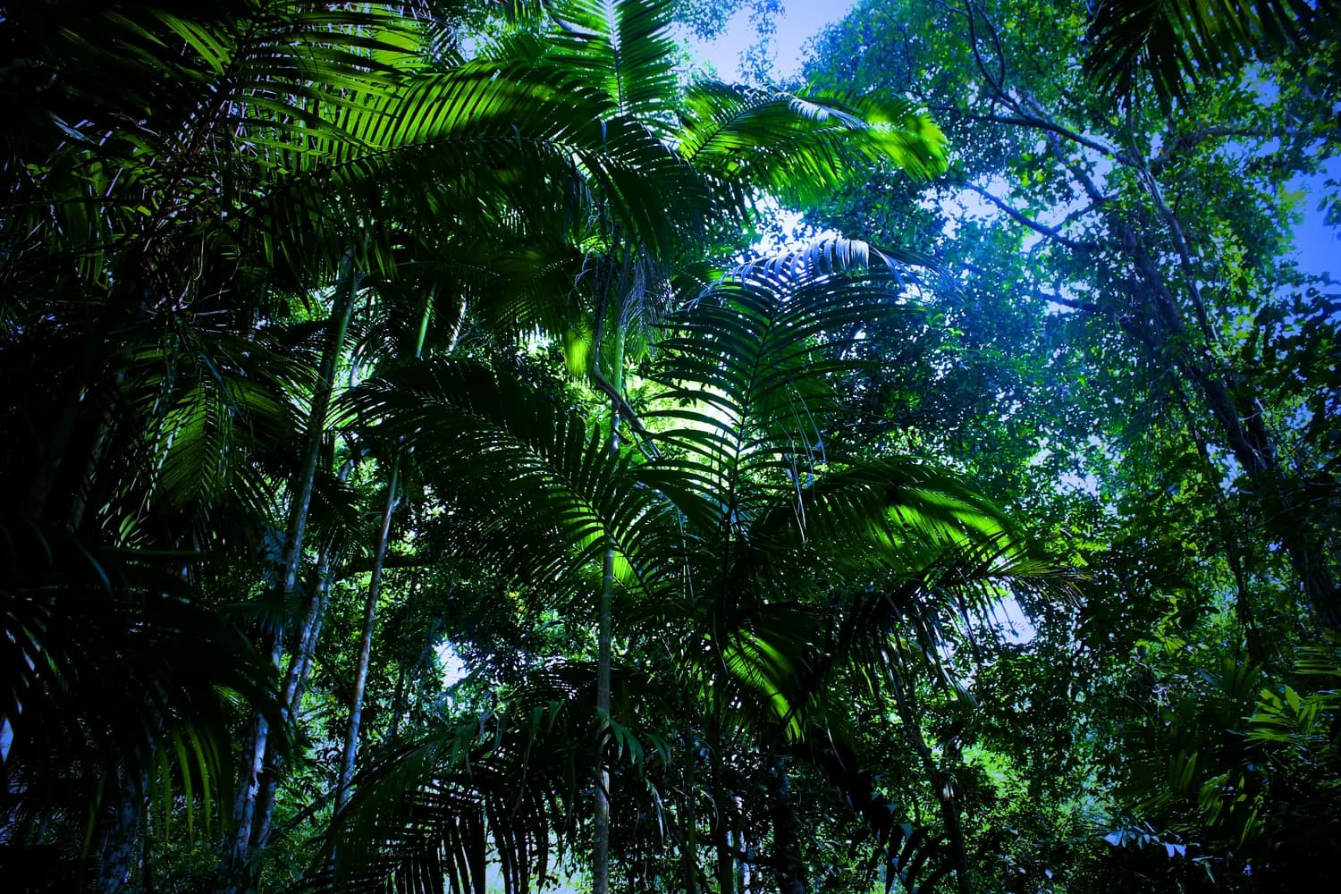 分子系统学：揭秘生物分类新趋势