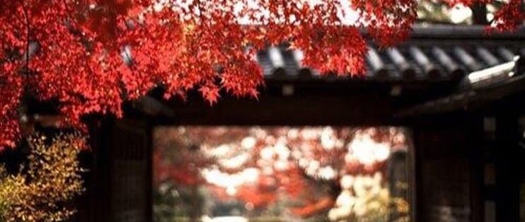 后羿射日：解读中华文化的英雄传说