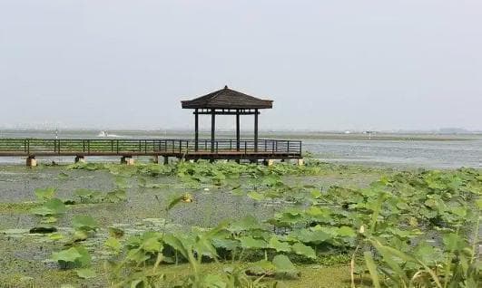 苏州莲花岛景区攻略，含门票、交通指南、游玩路线、美食推荐