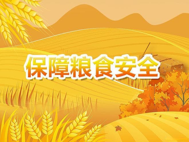 智慧粮仓新时代：物联网技术如何重塑粮食储存管理