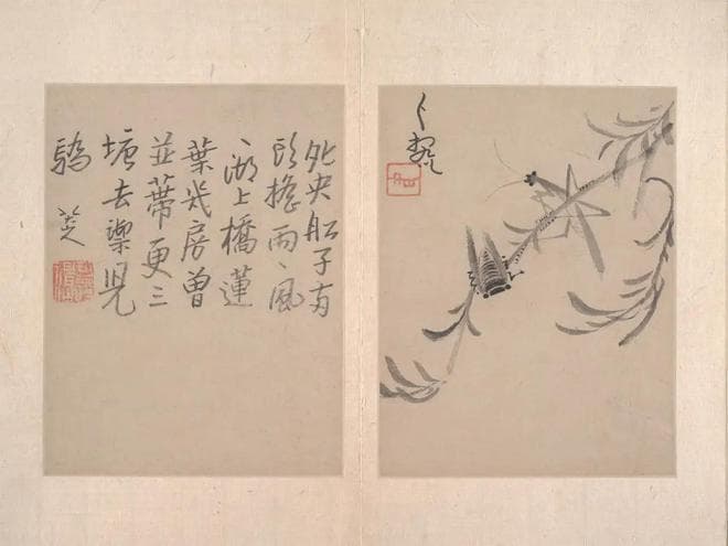 八大山人朱耷 《精品册页》欣赏