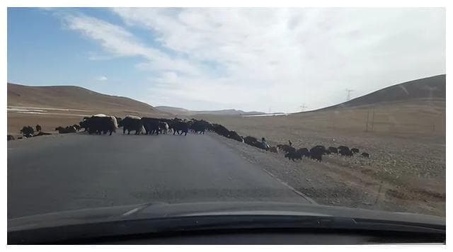 能走高速就绝不走国道，为什么会有人这样说？