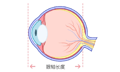 儿童青少年眼轴发育分几个阶段？