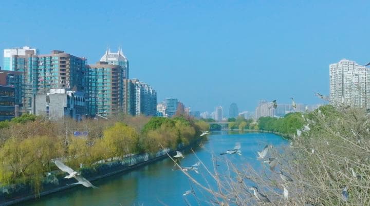 杭州515条城市河道征集生态建设建议，打造四季美景