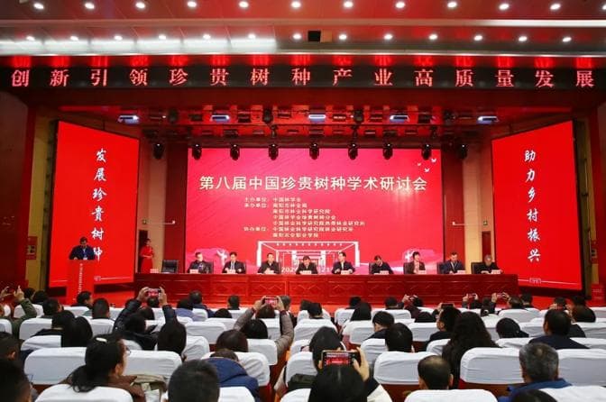 专家齐聚南阳共商珍贵树种发展，多项科研成果助力林业创新