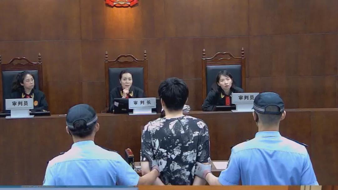 全国首例！成都公安披露：刘某某被判3年