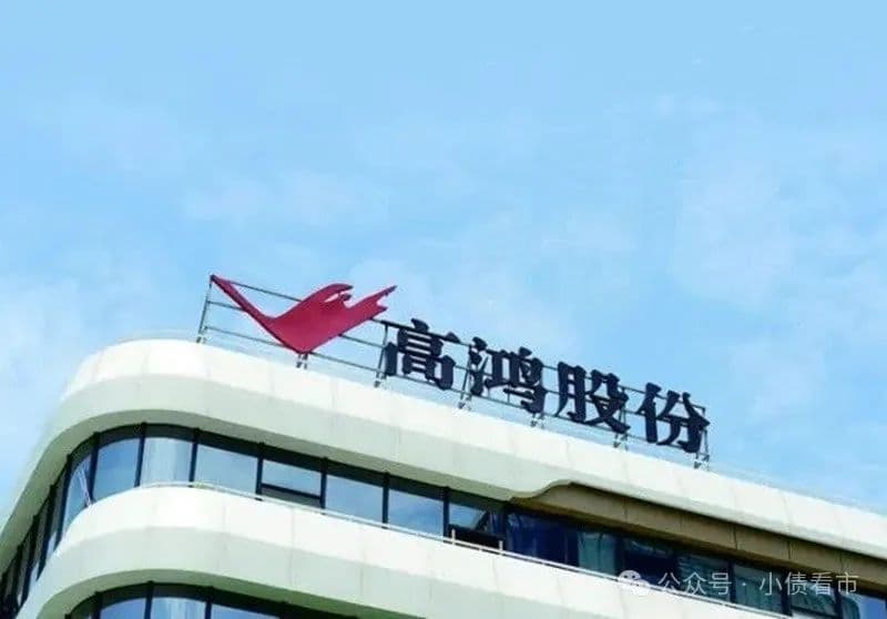 高鸿股份子公司1.09亿债务逾期