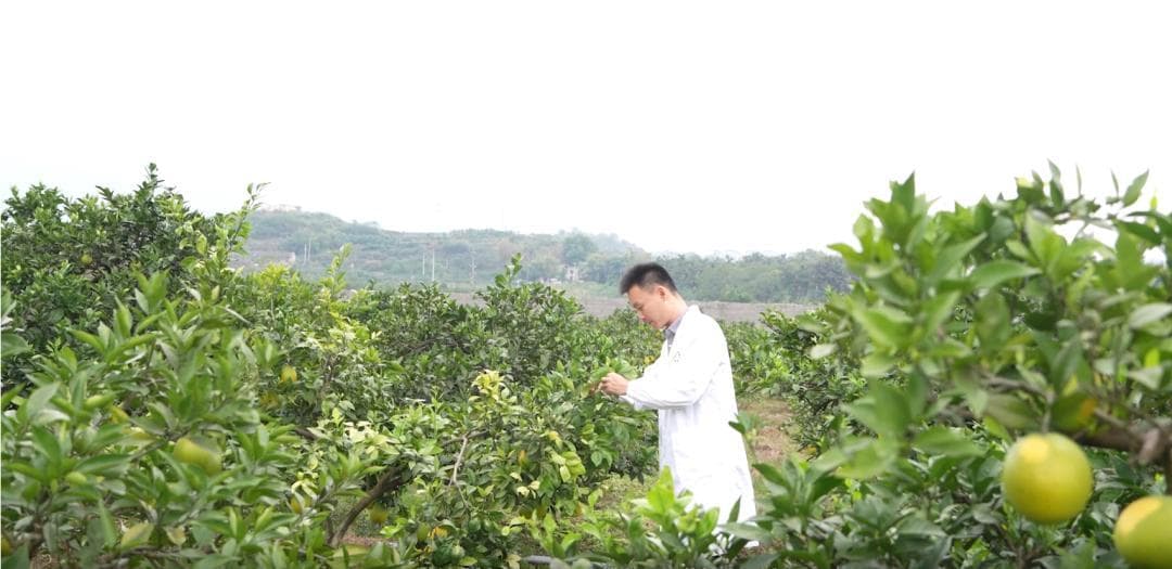 这个“芯片”，世界首款，中国“质”造！