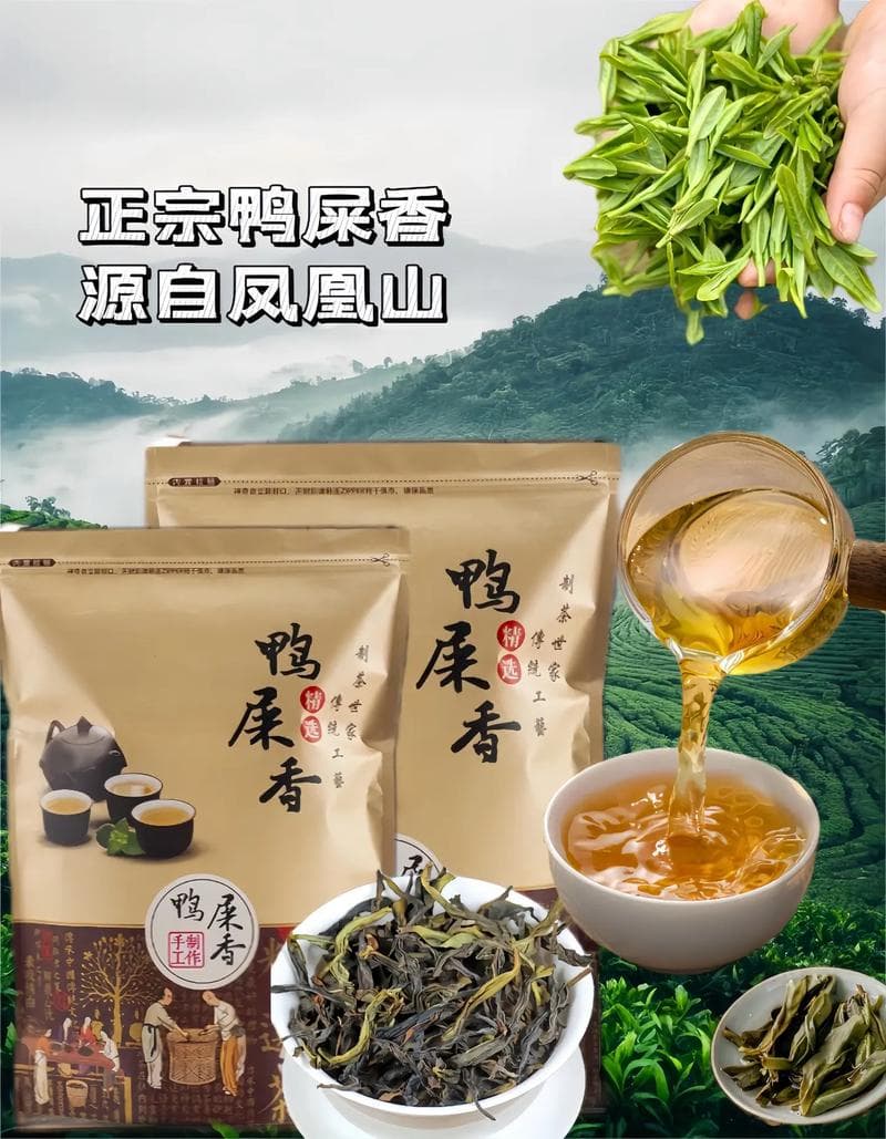 鸭屎香是什么茶：揭秘这款独特香气的乌龙茶