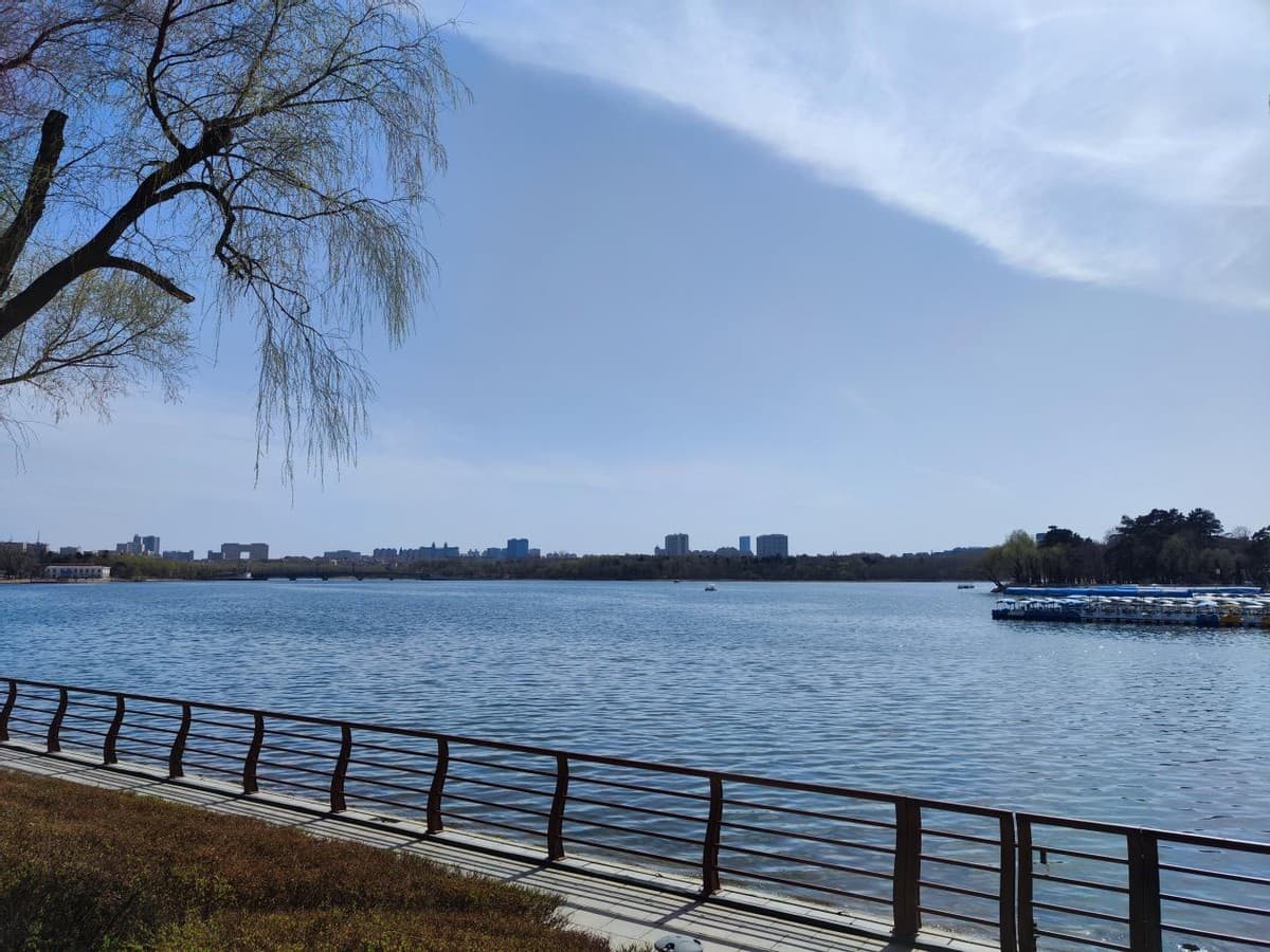 长春南湖公园：白天的活力与夜晚的深邃在这里交会