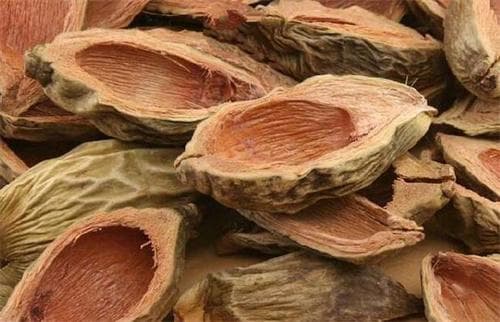大腹皮的功效与作用及药用价值是什么