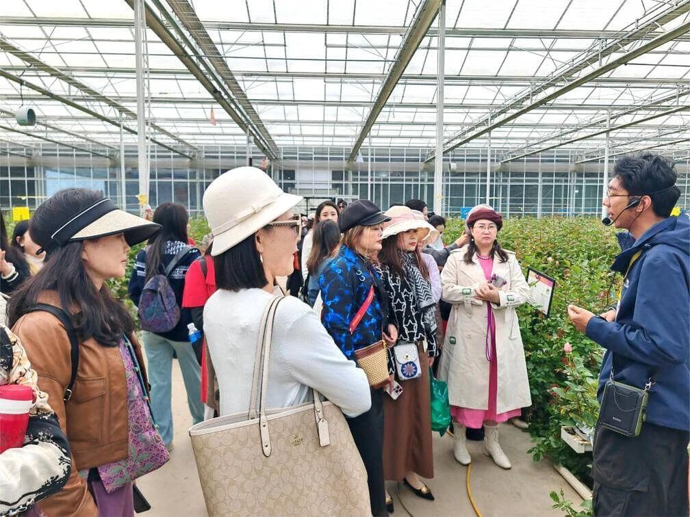 积极打造新业态——“花卉+旅游”成丽江旅游新亮点