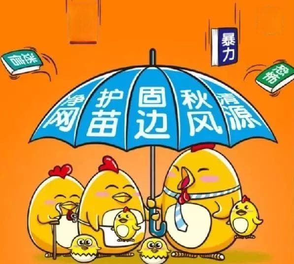 “扫黄打非”五大专项行动全解析：从清源到固边，守护文化净土