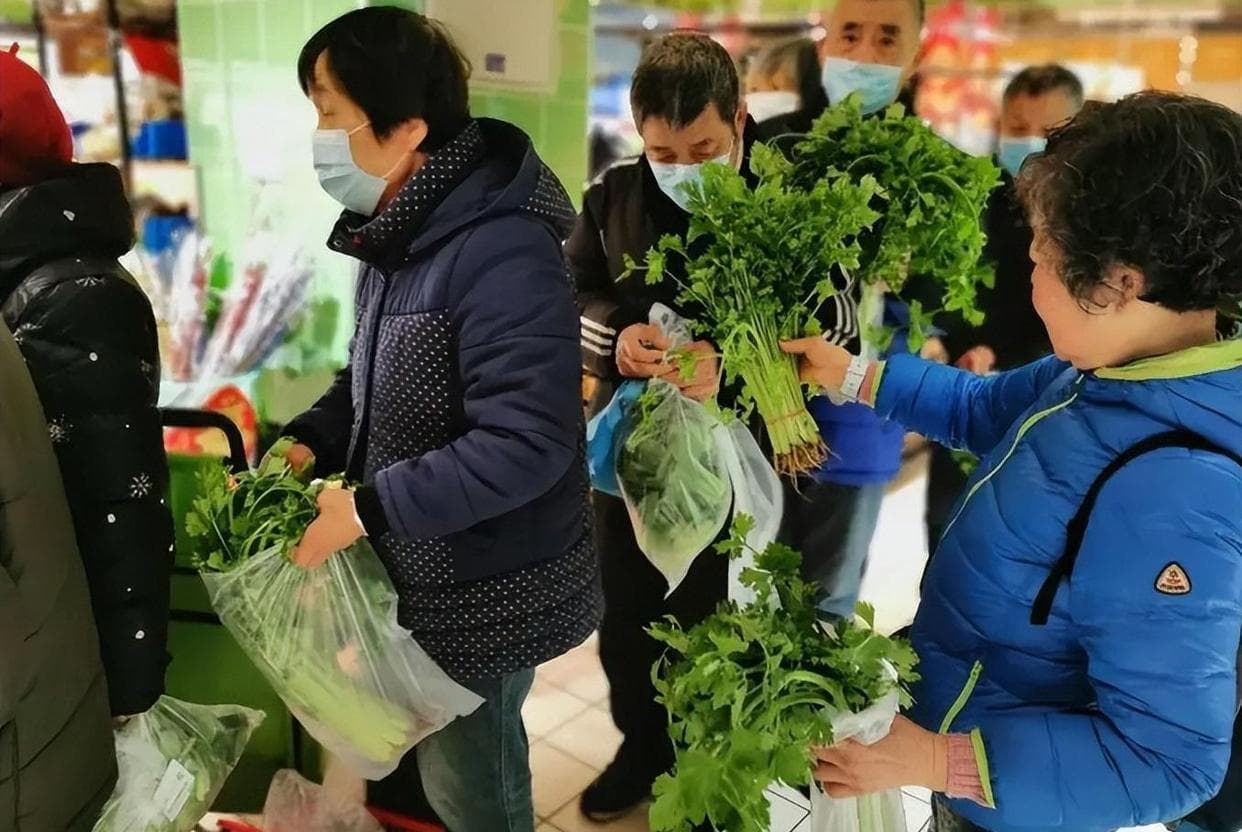 从农民工到年入3600万的“菜王”：刘永军的传奇创业故事